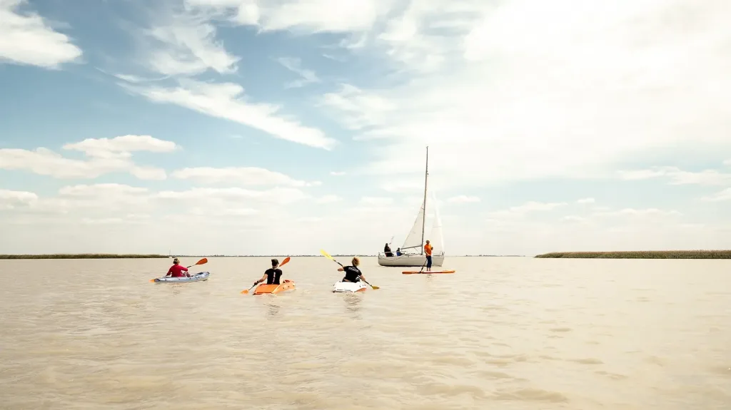 Sail, SUP, Kayak at Lake Neusiedel